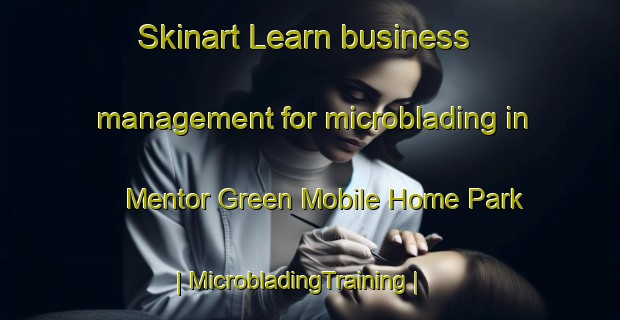 Skinart Learn business management for microblading in Mentor Green Mobile Home Park | MicrobladingTraining | MicrobladingClasses | SkinartTraining-United States
